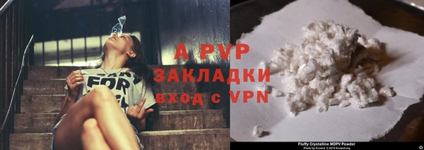 прущие грибы Новокубанск