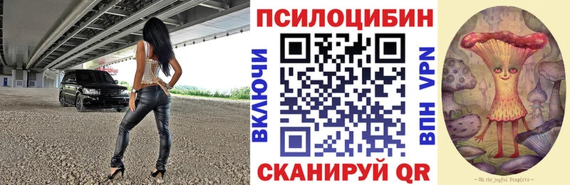 Галлюциногенные грибы Psilocybe  дарнет шоп  Полесск 